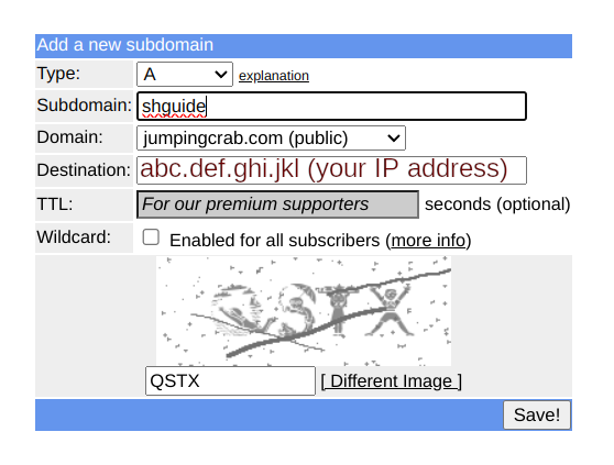 FreeDNS subdomain settings